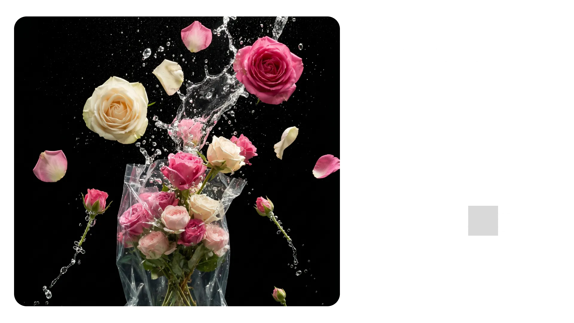 Image to prompt carousel preview with roses and water splash